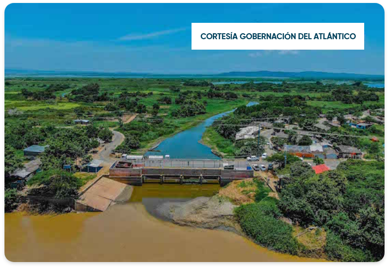 Reactivación agropecuaria en el Atlántico