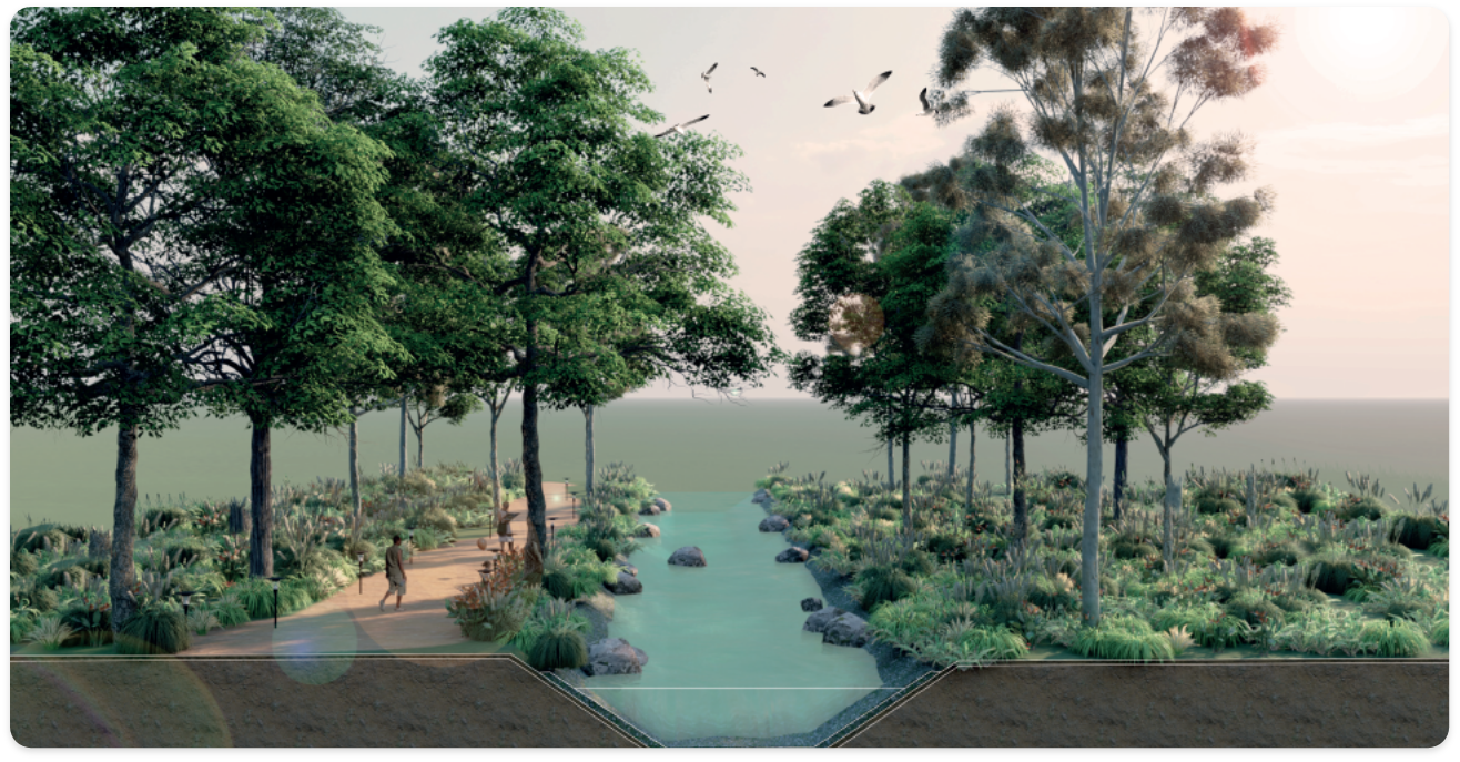 arroyo (1)